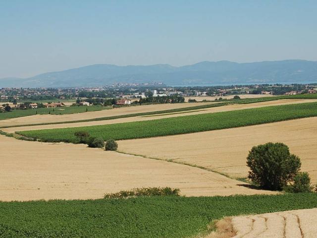Terreno in vendita a Paciano, Umbria