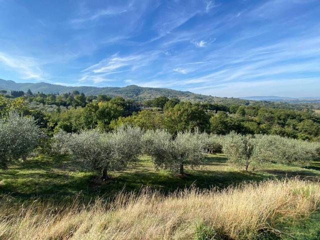 Terreno in vendita a Paciano, Umbria