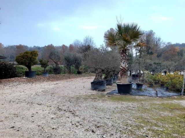 Terreno in vendita a Padenghe Sul Garda, Lombardia