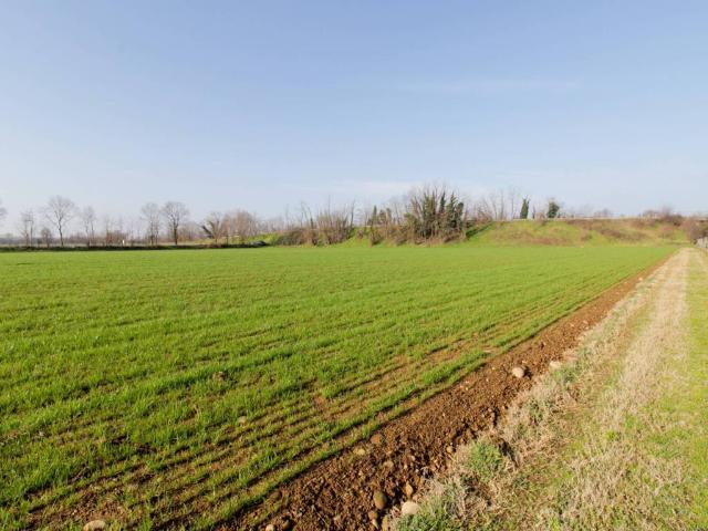 Terreno in vendita a Passirano, Lombardia