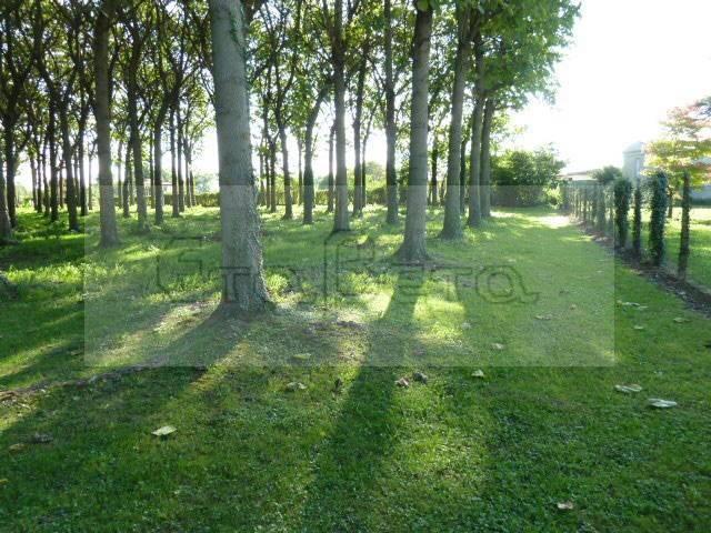 Terreno in vendita a Padova, Veneto