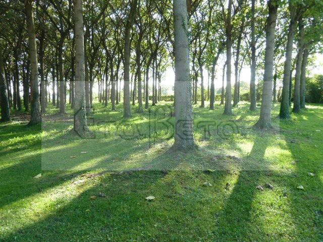 Terreno in vendita a Padova, Veneto