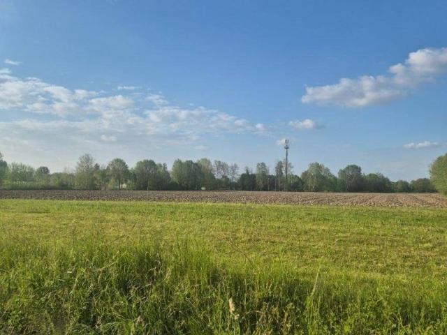 Terreno in vendita a Padova, Veneto