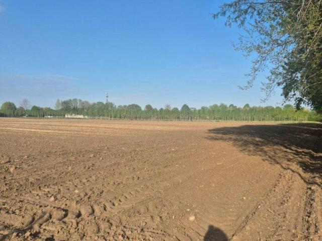 Terreno in vendita a Padova, Veneto