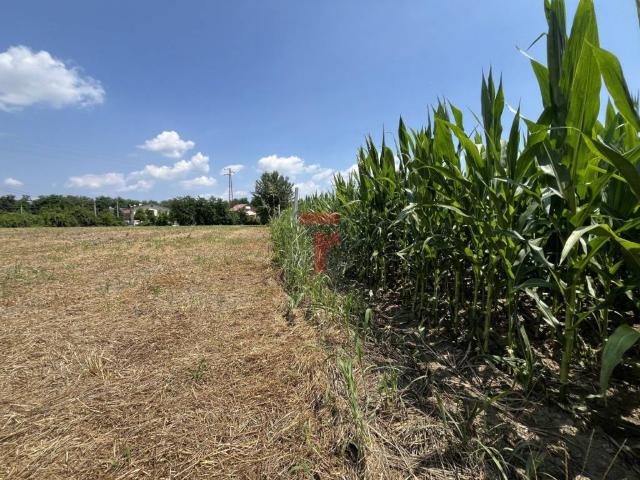 Terreno in vendita a Altichiero, Padova