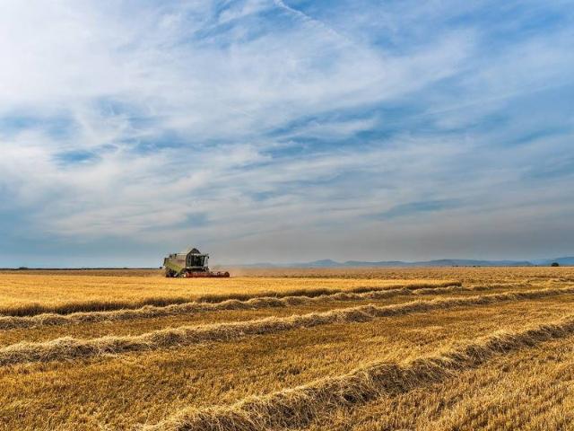 Terreno in vendita a Granze di Camin, Padova