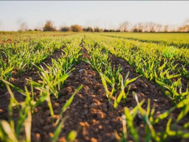 Terreno in vendita a Padova, Veneto
