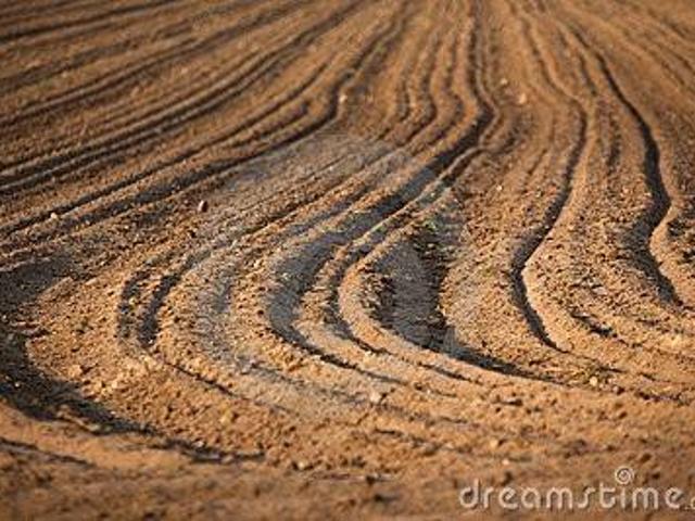 Terreno in vendita a Camin, Padova