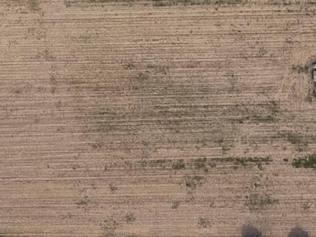Terreno in vendita a San Lazzaro, Padova
