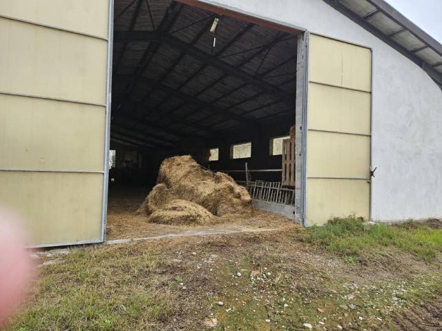 Terreno in vendita a Padova, Veneto