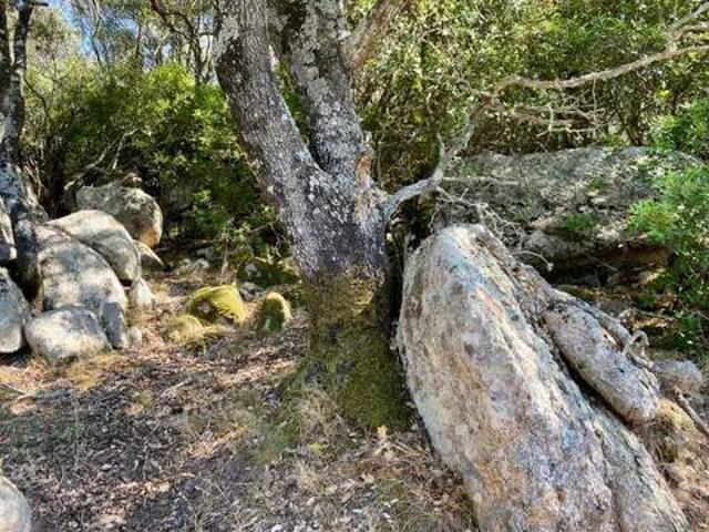Terreno in vendita a Padru, Sardigna/Sardegna