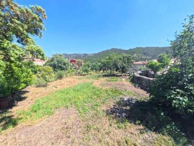 Terreno in vendita a Padru, Sardigna/Sardegna