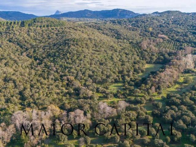 Terreno in vendita a Padru, Sardigna/Sardegna