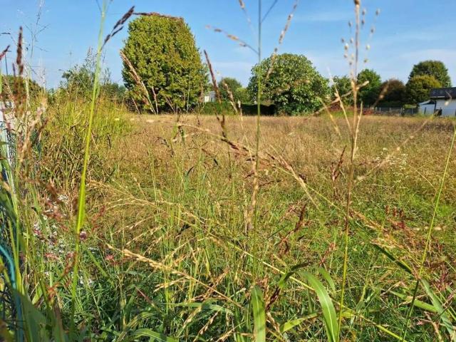 Terreno in vendita a Sovernigo, Paese