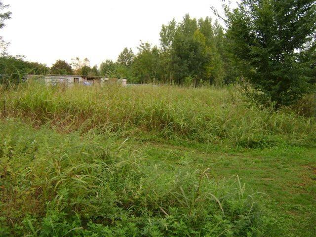 Terreno in vendita a Padernello, Paese