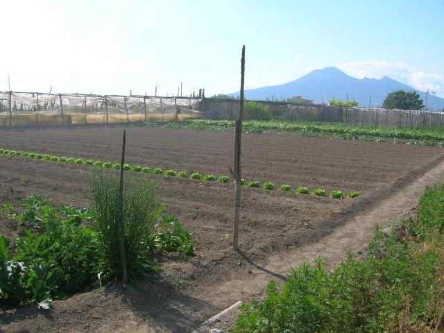 Terreno in vendita a Pagani, Campania