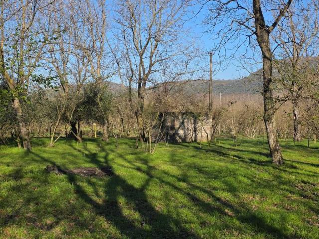 Terreno in vendita a Pago Del Vallo Di Lauro, Campania