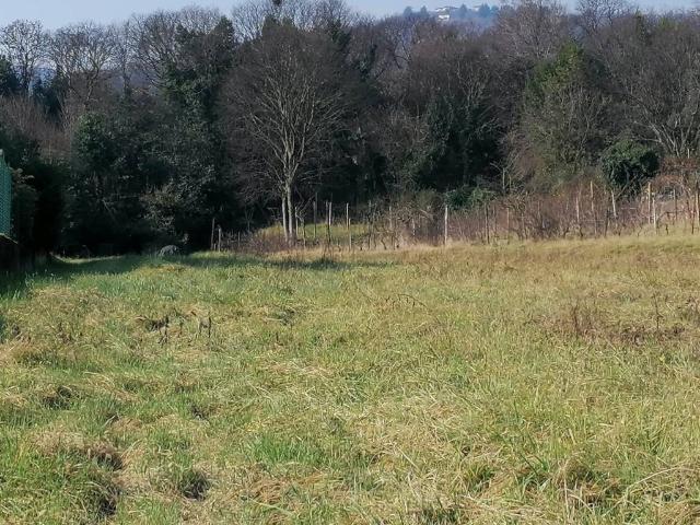 Terreno in vendita a Comunità montana della Valle Sabbia, Paitone