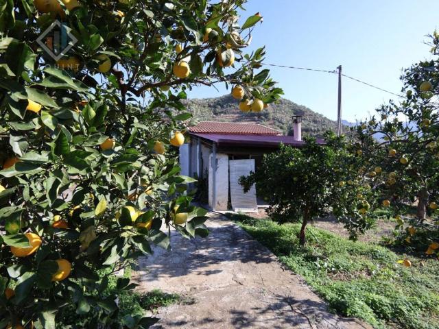 Terreno in vendita a Palagonia, Sicilia