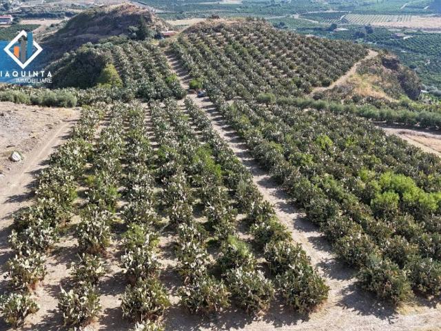 Terreno in vendita a Palagonia, Sicilia