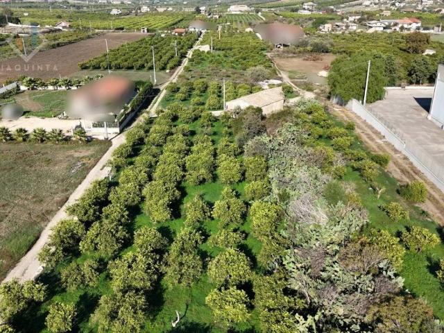 Terreno in vendita a Palagonia, Sicilia