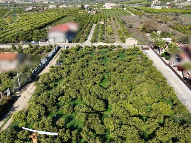 Terreno in vendita a Palagonia, Sicilia