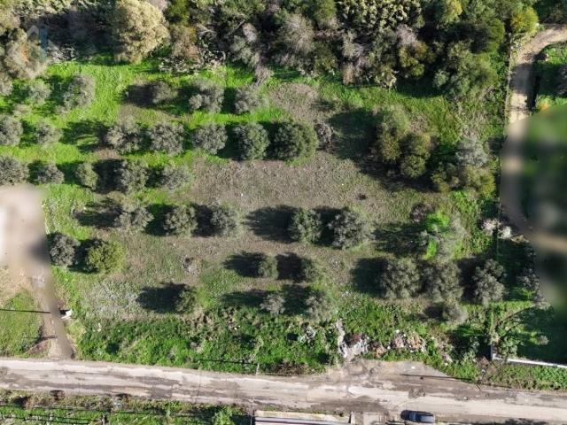Terreno in vendita a Palagonia, Sicilia