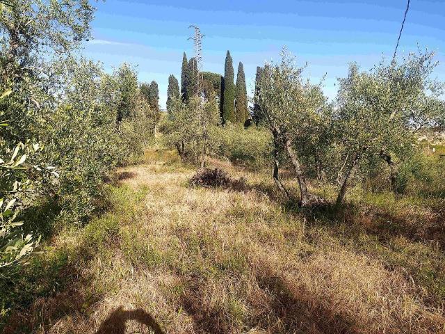Terreno in vendita a Legoli, Toscana