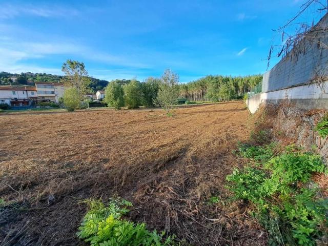 Terreno in vendita a Legoli, Toscana