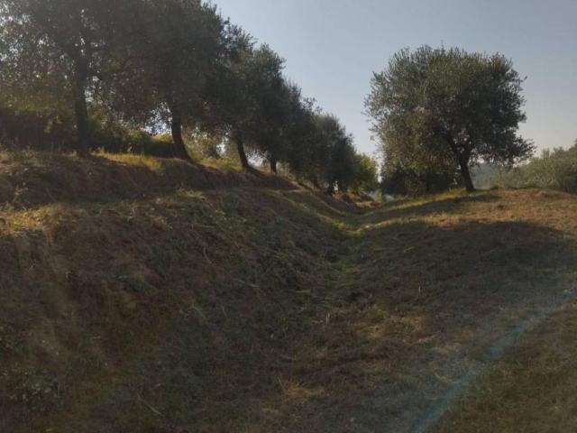 Terreno in vendita a Legoli, Toscana