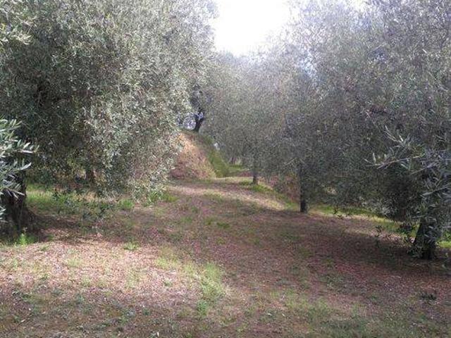 Terreno in vendita a Legoli, Toscana