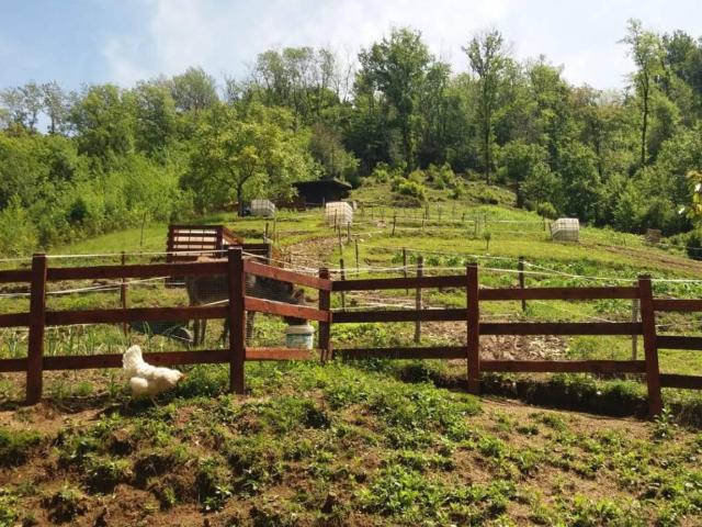 Terreno in vendita a Borghetto, Palazzago