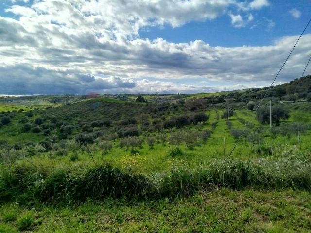 Terreno in vendita a Palazzolo Acreide, Sicilia