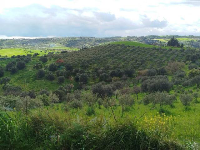 Terreno in vendita a Palazzolo Acreide, Sicilia