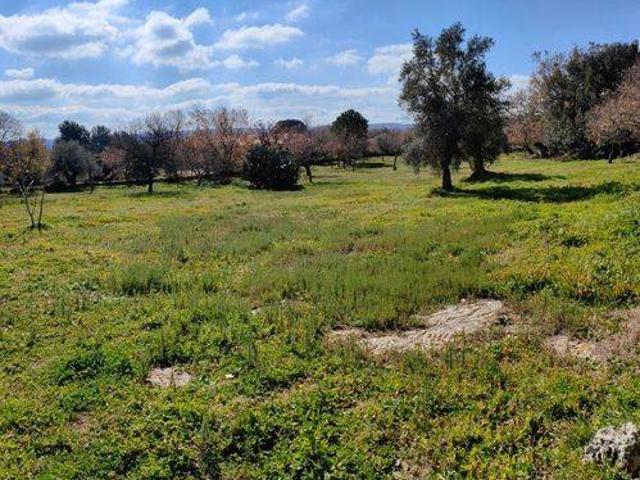Terreno in vendita a Palazzolo Acreide, Sicilia