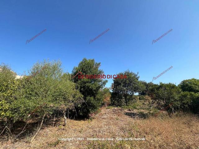 Terreno in vendita a II Circoscrizione, Palermo