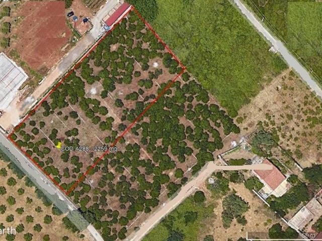 Terreno in vendita a II Circoscrizione, Palermo