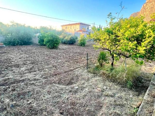 Terreno in vendita a VII Circoscrizione, Palermo