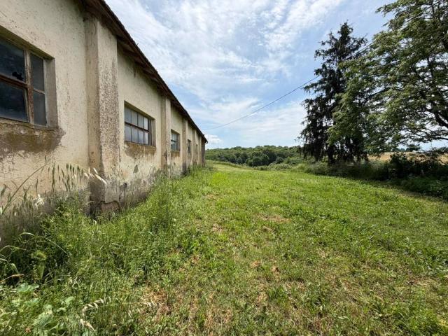 Terreno in vendita a Roma Capitale, Lazio