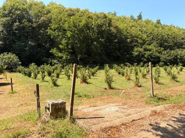 Terreno in vendita a Roma Capitale, Lazio