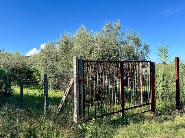 Terreno in vendita a Colle Rasto, Roma Capitale