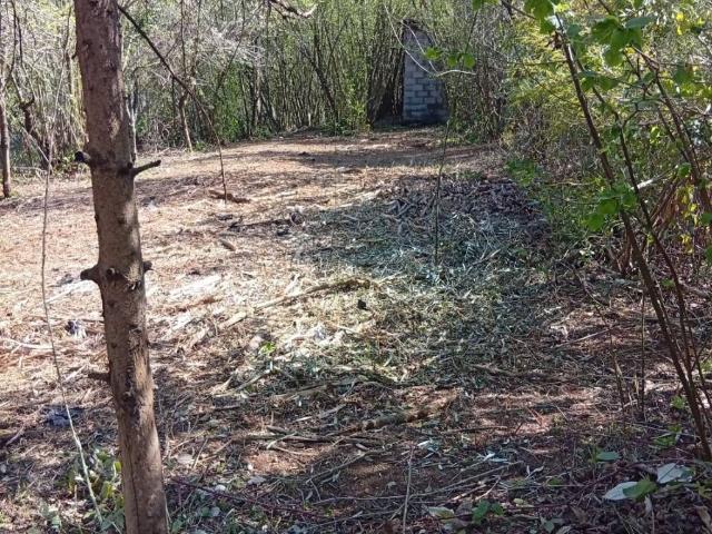 Terreno in vendita a Roma Capitale, Lazio