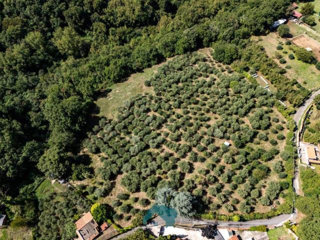Terreno in vendita a Roma Capitale, Lazio