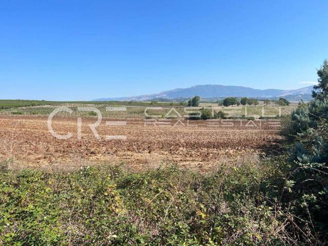 Terreno in vendita a Paliano, Frosinone