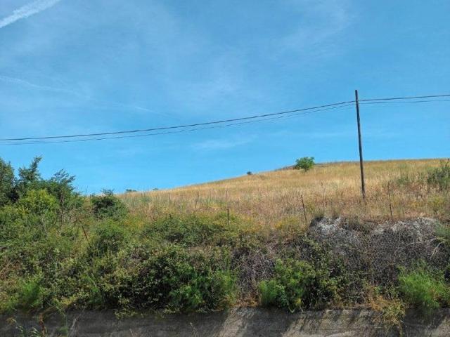 Terreno in vendita a Paliano, Lazio