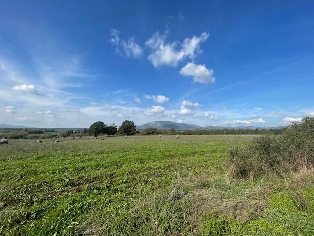Terreno in vendita a Paliano, Lazio