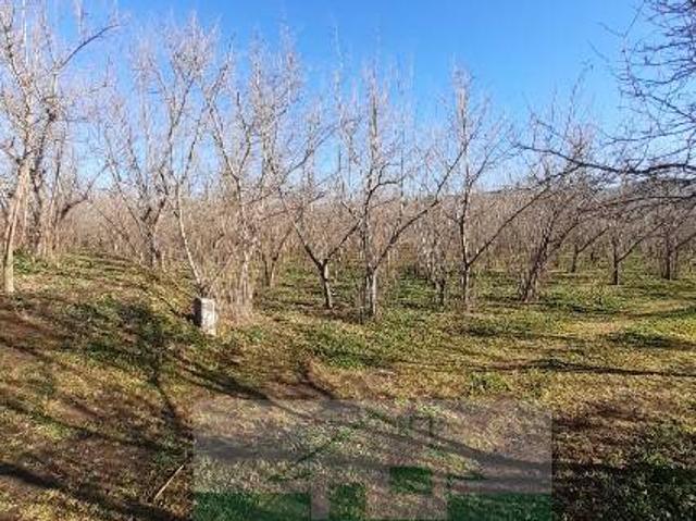 Terreno in vendita a Palma Campania, Campania
