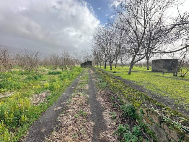 Terreno in vendita a Palma Campania, Campania
