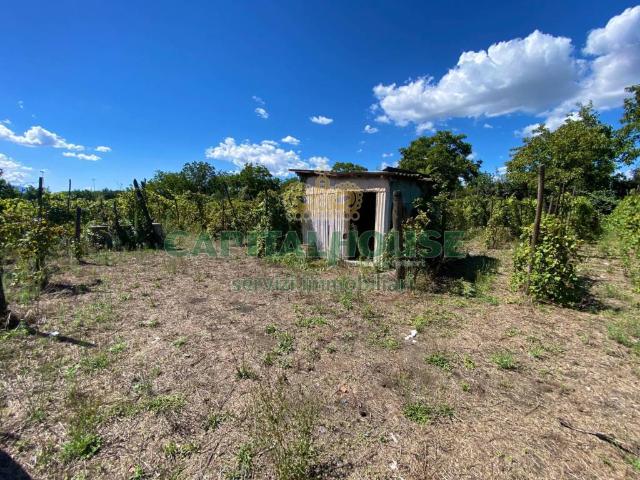 Terreno in vendita a Palma Campania, Campania