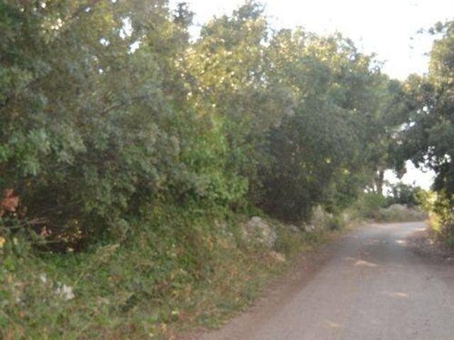 Terreno in vendita a Puglia, Lecce